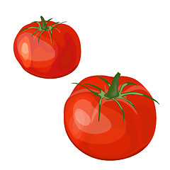 Image showing Set of Two Glossy Red Tomatoes