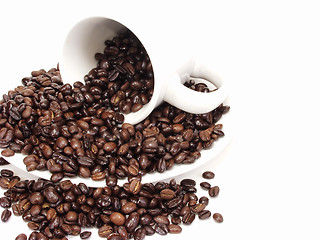 Image showing Coffee 043