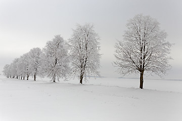 Image showing winter  