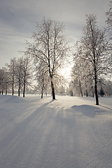 Image showing winter  