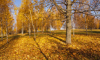 Image showing autumn park  