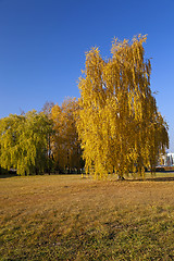 Image showing autumn park  