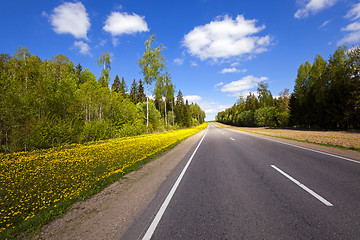 Image showing  road in the spring  