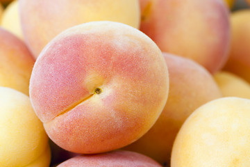 Image showing ripe apricots 