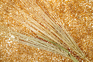 Image showing wheat grains  