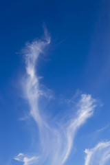 Image showing clouds  