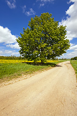 Image showing rural road  