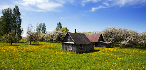 Image showing the house 