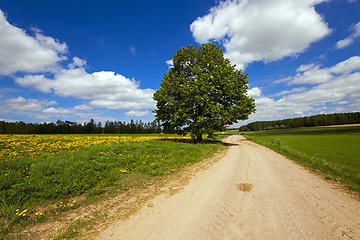 Image showing the rural road  