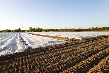 Image showing greenhouses in the field 