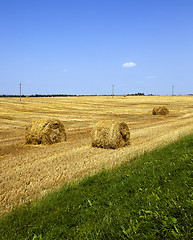 Image showing straw stack  