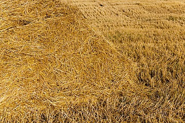 Image showing field with straw  