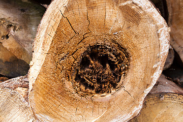 Image showing lot of firewood  