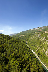 Image showing mountain district  other plants. Montenegro