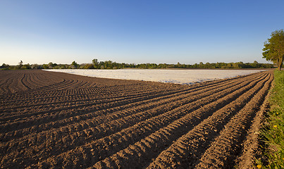 Image showing agriculture 