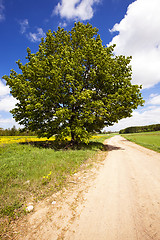 Image showing the rural road  