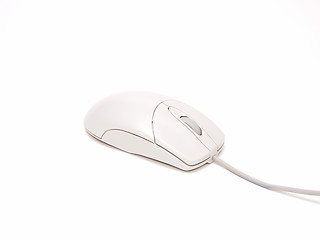Image showing White Mouse 007