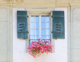 Image showing Old window and flowers at a historic building