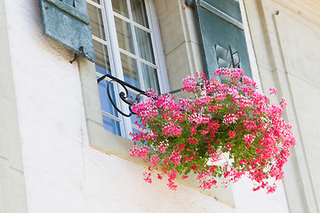 Image showing Old window and flowers at a historic building