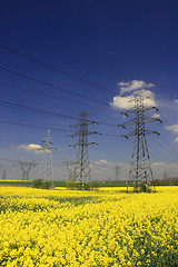 Image showing Electric pylons