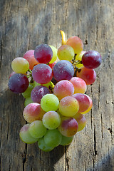 Image showing Unripe grapes