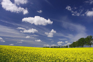 Image showing Colorful spring landscape