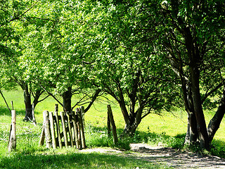 Image showing path with gate