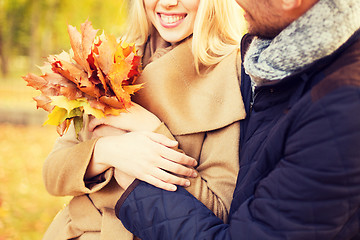 Image showing close up of smiling couple hugging in autumn park