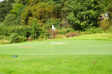 Image showing Golf green