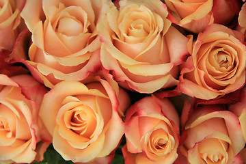 Image showing Multicolored wedding roses