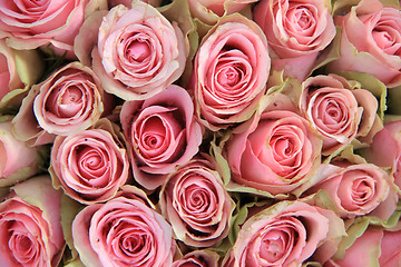 Image showing Pink roses in a wedding arrangement