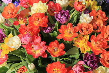 Image showing Multicolored tulip bouquet