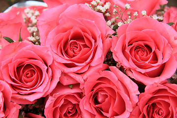 Image showing Pink roses in a bridal arrangement