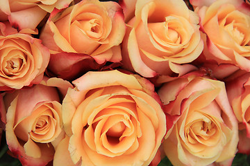 Image showing Multicolored wedding roses