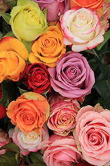 Image showing Multicolored wedding roses