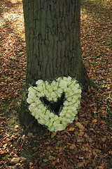 Image showing Heart shaped sympathy flowers