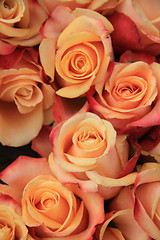 Image showing Multicolored wedding roses