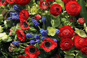 Image showing Spring flowers in red and blue