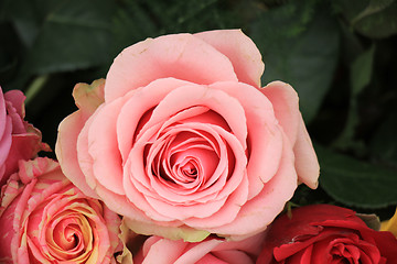 Image showing Multicolored wedding roses