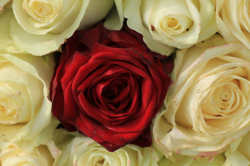 Image showing Red rose in white bouquet