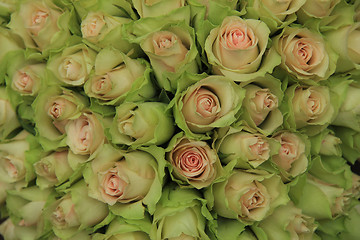 Image showing Pale pink roses in a wedding arrangement