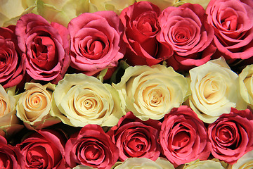 Image showing Pink roses in different shades in wedding arrangement