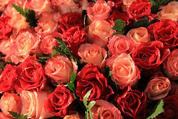 Image showing Red and pink roses