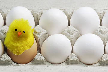 Image showing Chick Between White Eggs