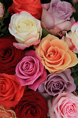 Image showing Mixed bridal roses