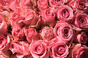 Image showing Pink roses in bridal bouquet