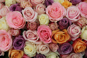 Image showing Pastel wedding roses