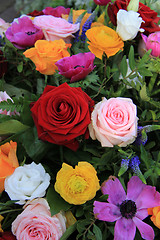 Image showing Bright colored bridal flowers