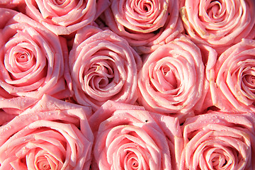 Image showing Pink roses in a bridal arrangement