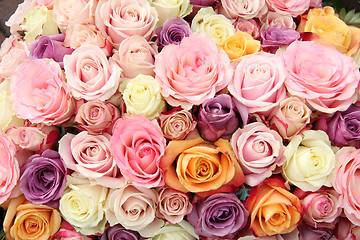 Image showing Wedding roses in pastel colors